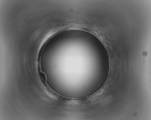 X0000096390102200802071547