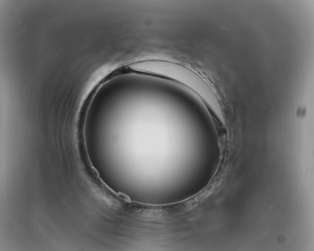 X0000096390104200802071547