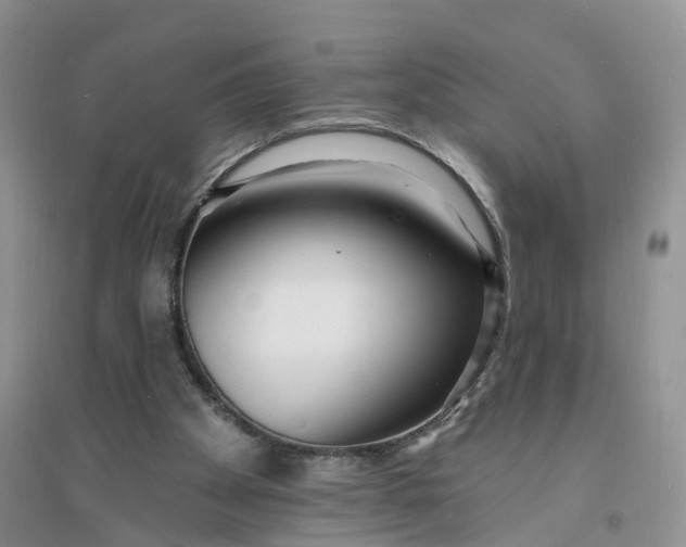 X0000096390105200802071547