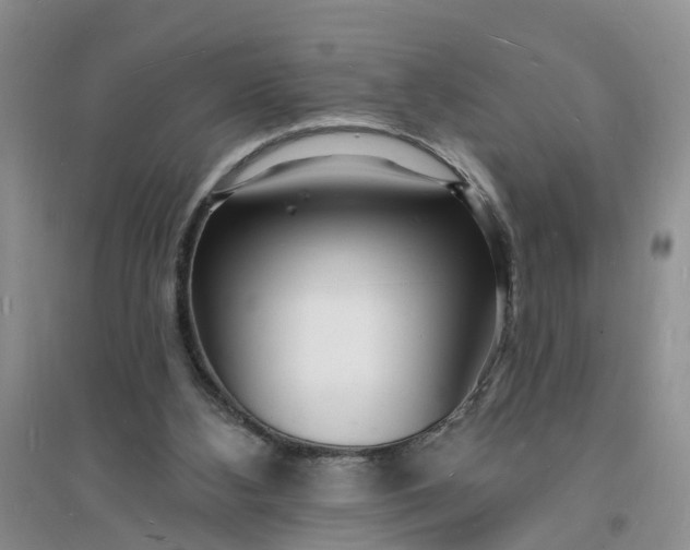 X0000096390108200802071547