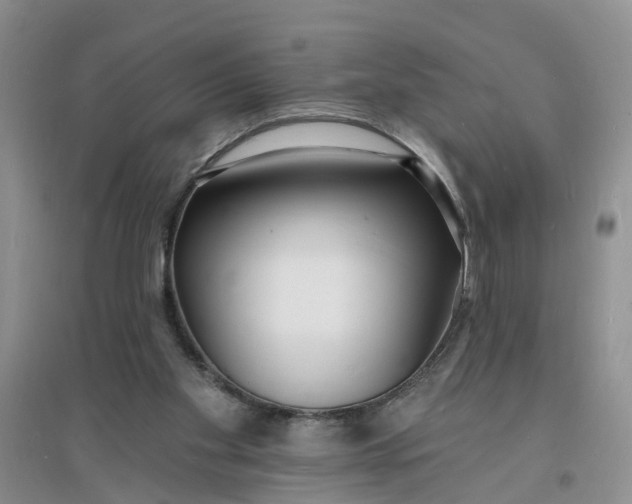 X0000096390109200802071547