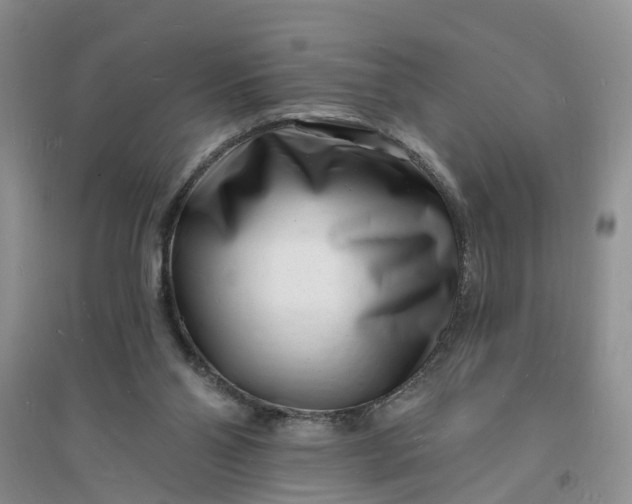 X0000096390110200802071547