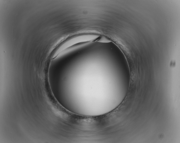 X0000096390112200802071547