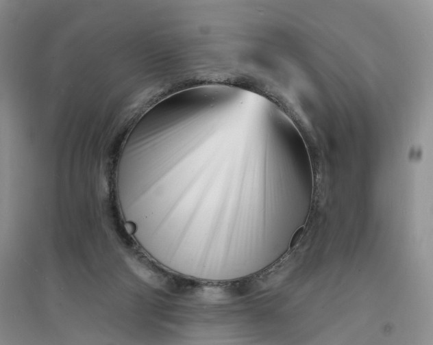 X0000096390114200802071547