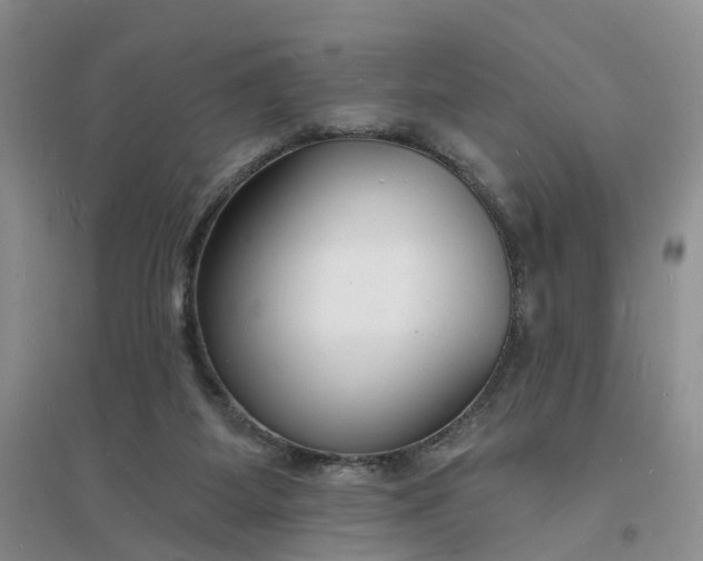 X0000096390115200802071547