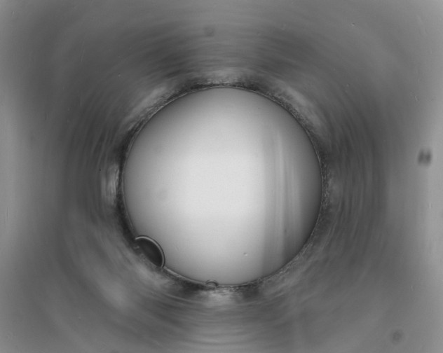 X0000096390118200802071547