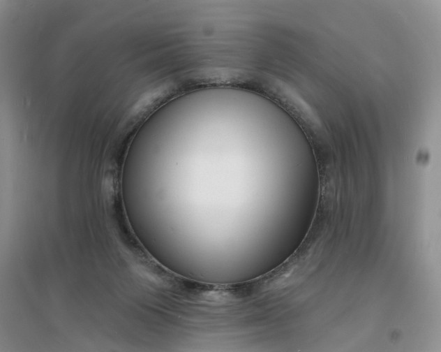 X0000096390119200802071546