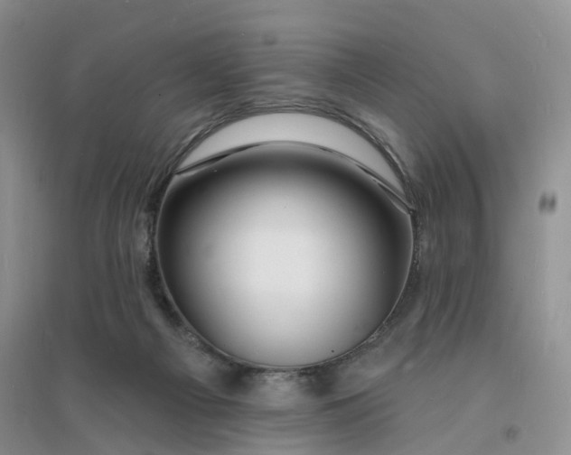 X0000096390121200802071546
