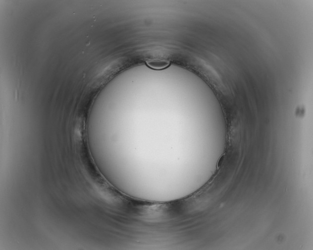 X0000096390122200802071546