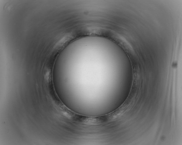 X0000096390123200802071546
