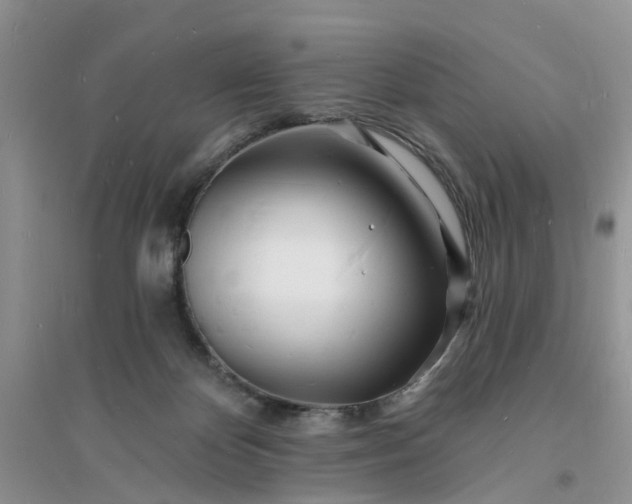 X0000096390124200802071546