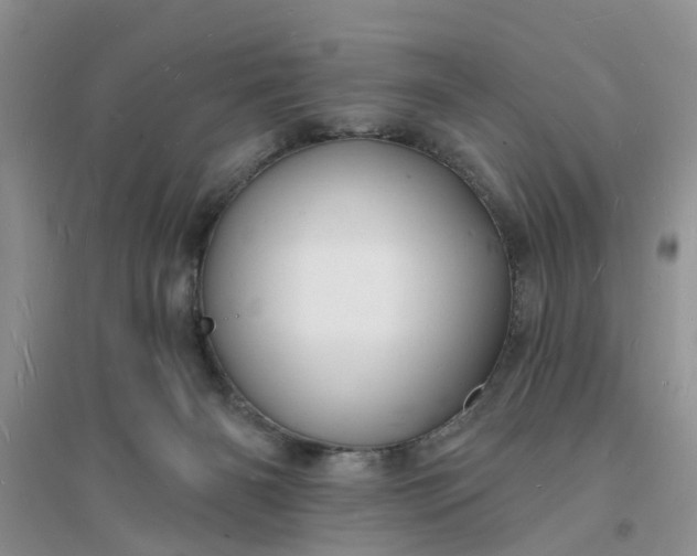 X0000096390126200802071546