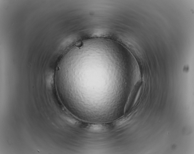X0000096390127200802071546