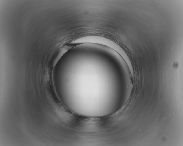 X0000096390128200802071546
