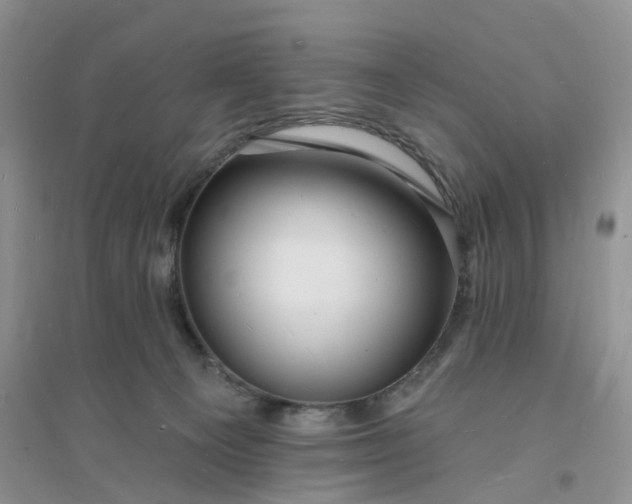 X0000096390129200802071546