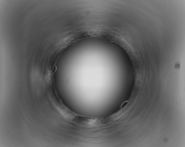 X0000096390130200802071546