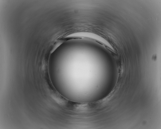 X0000096390132200802071546