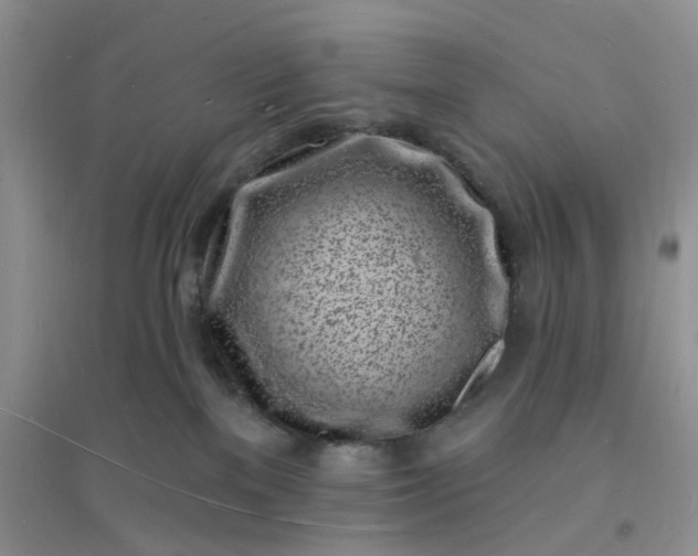 X0000096390137200802071546
