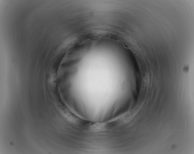 X0000096390138200802071546