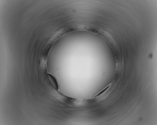 X0000096390142200802071546
