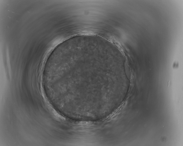 X0000096390145200802071545