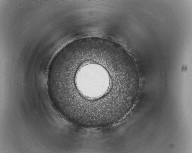 X0000096390146200802071545