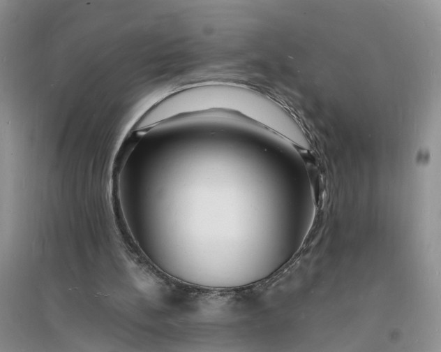 X0000096390148200802071545