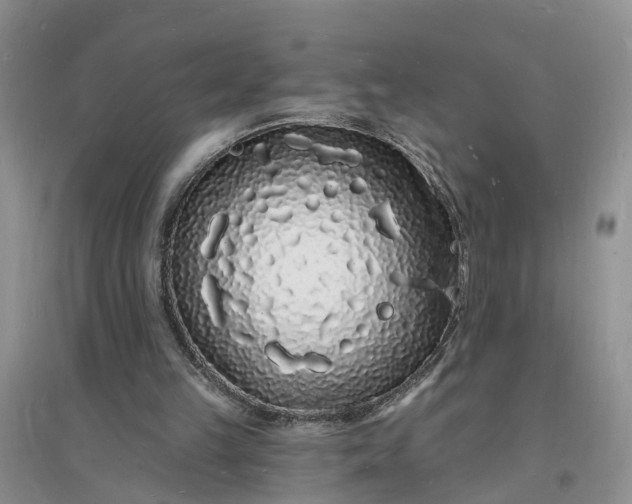 X0000096390149200802071545