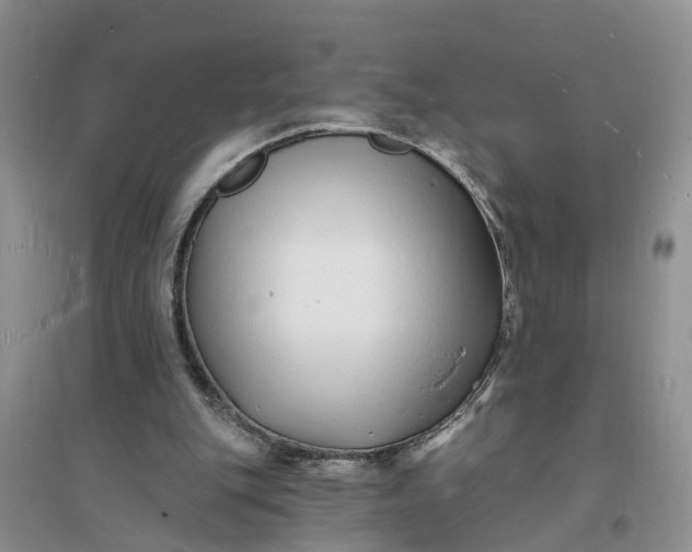 X0000096390151200802071545