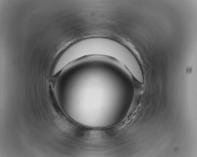 X0000096390154200802071545
