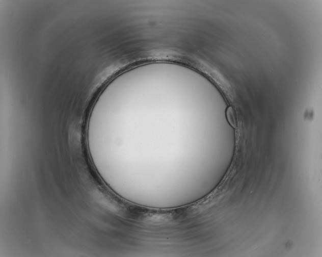 X0000096390155200802071545
