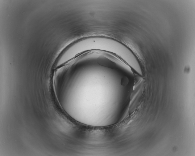 X0000096390156200802071545