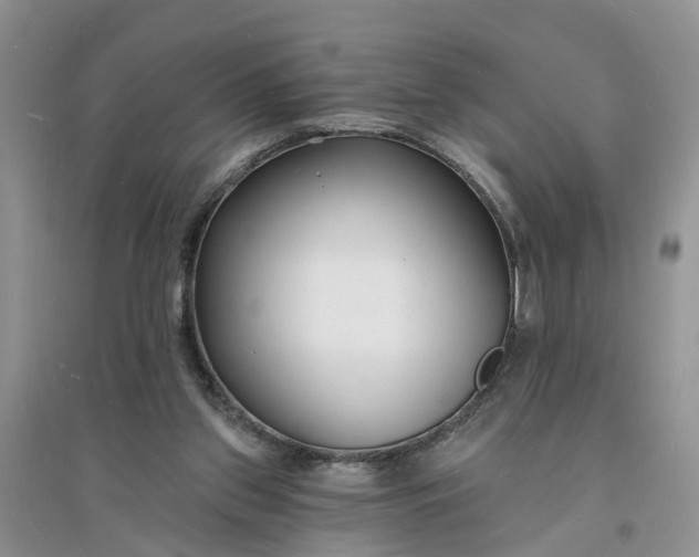 X0000096390157200802071545