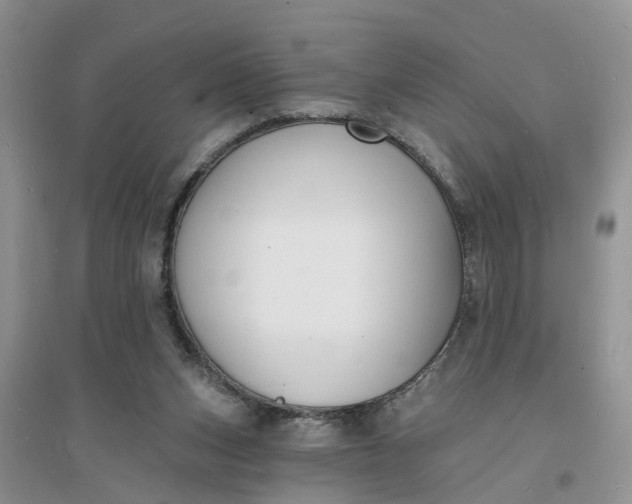 X0000096390159200802071546