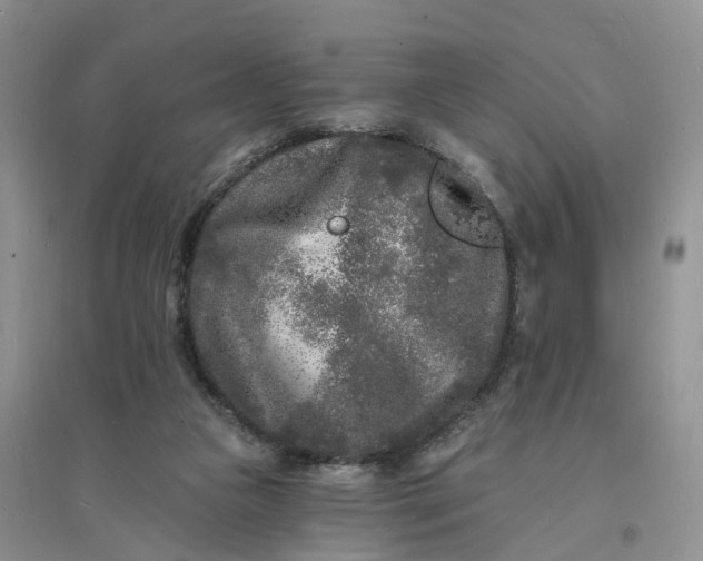 X0000096390161200802071546