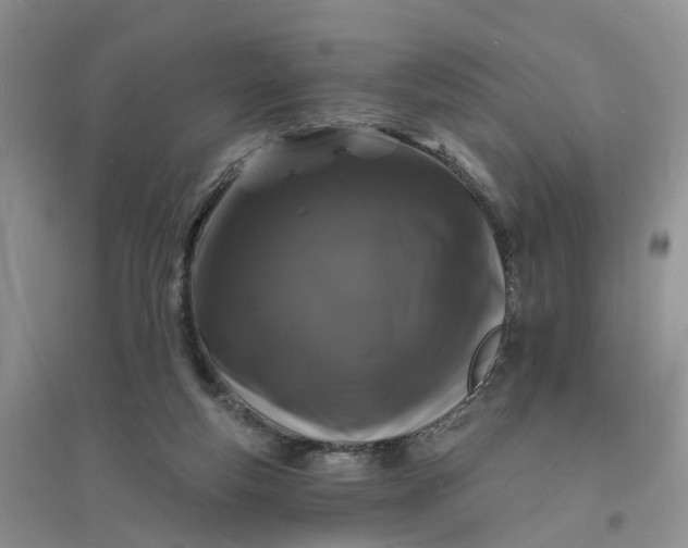 X0000096390163200802071546
