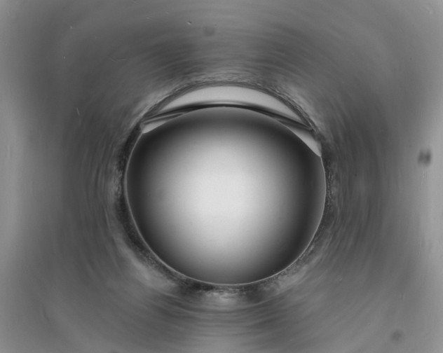X0000096390164200802071546