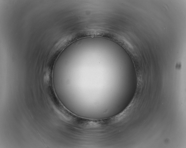 X0000096390166200802071546