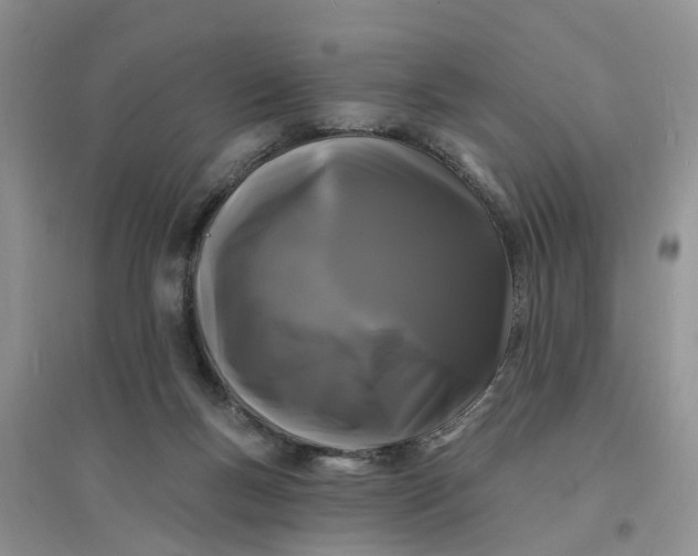 X0000096390167200802071546