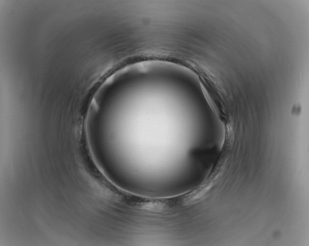 X0000096390168200802071546
