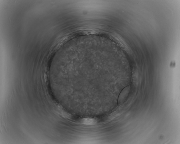 X0000096390169200802071546