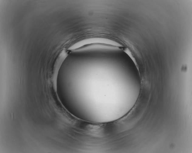 X0000096390170200802071546