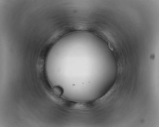 X0000096390171200802071546