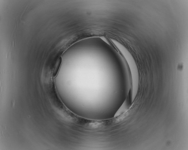 X0000096390172200802071546