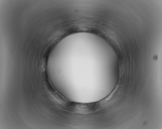 X0000096390174200802071546