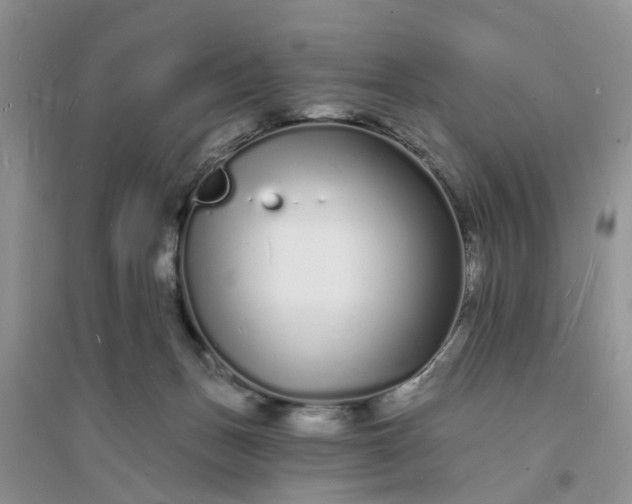 X0000096390175200802071546