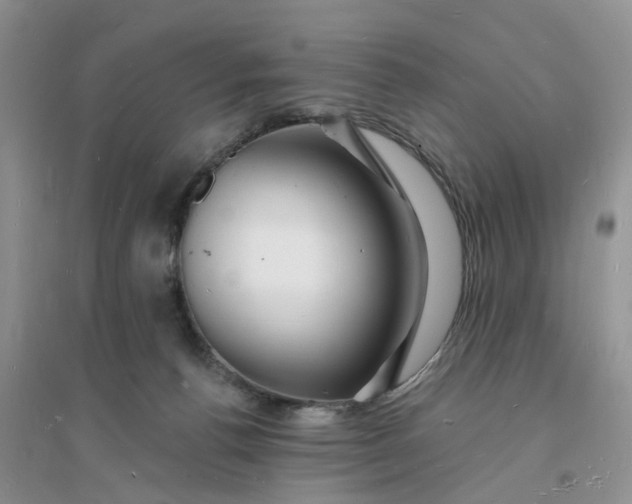 X0000096390176200802071546
