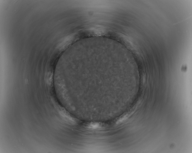 X0000096390177200802071546