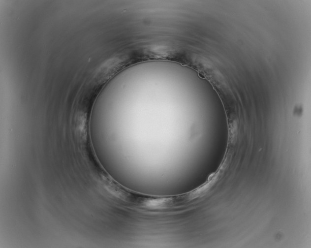 X0000096390178200802071546