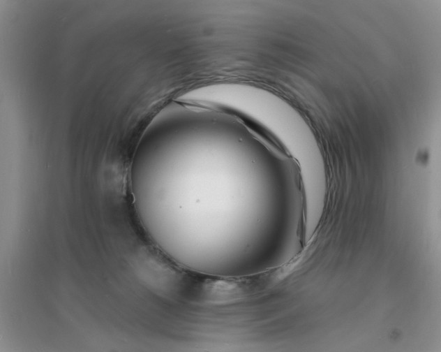 X0000096390180200802071546